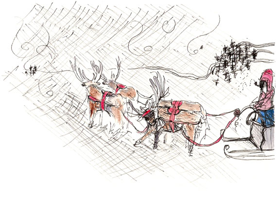 Sleigh ride