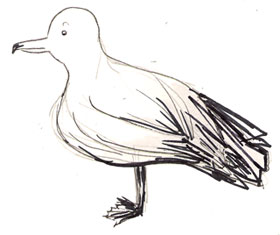 Walter the Seagull