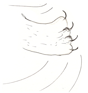 A swipe